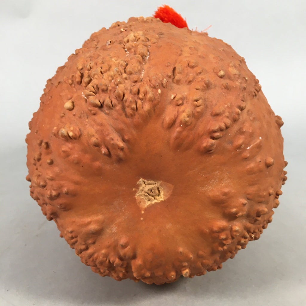 Japanese Gourd Display Vtg Ornament Tassel Ornament Natural Tassel BD578