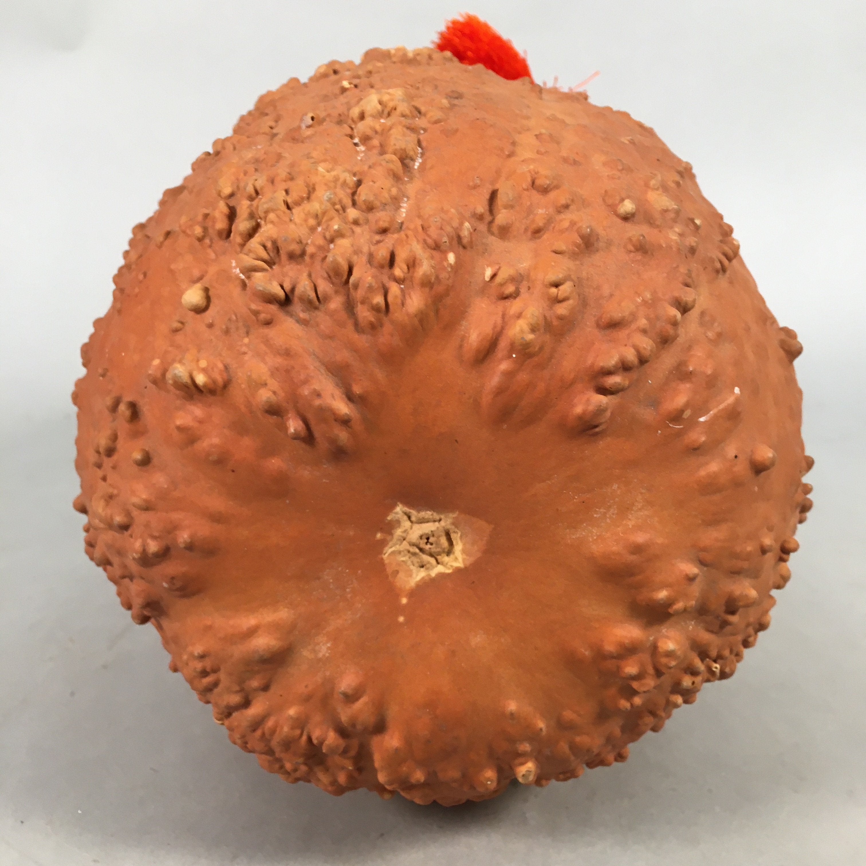 Japanese Gourd Display Vtg Ornament Tassel Ornament Natural Tassel BD578