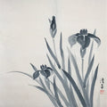 Japanese Hanging Scroll Nihon-ga Black Ink Art Iris Vtg Kakejiku Kakemono SC769