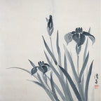 Japanese Hanging Scroll Nihon-ga Black Ink Art Iris Vtg Kakejiku Kakemono SC769