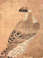 Japanese Hanging Scroll Printed Nihon-ga Hawk Victory Kakejiku Kakemono SC766