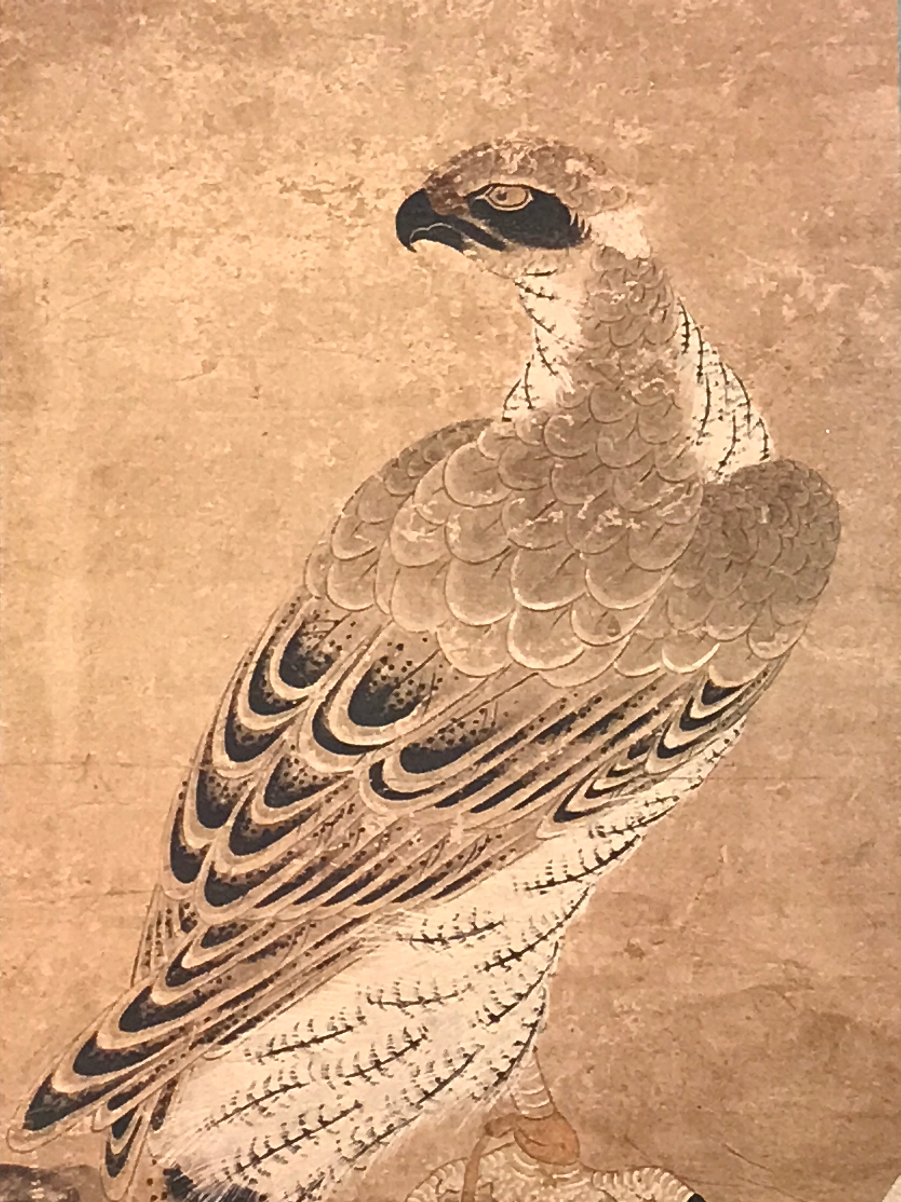 Japanese Hanging Scroll Printed Nihon-ga Hawk Victory Kakejiku Kakemono SC766