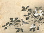 Japanese Hanging Scroll Sparrow Camellia Taigen Yokoyama Kakejiku SC794