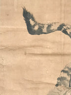 Japanese Hanging Scroll Tiger Baring Fangs Tora Black Kakejiku Kakemono SC792