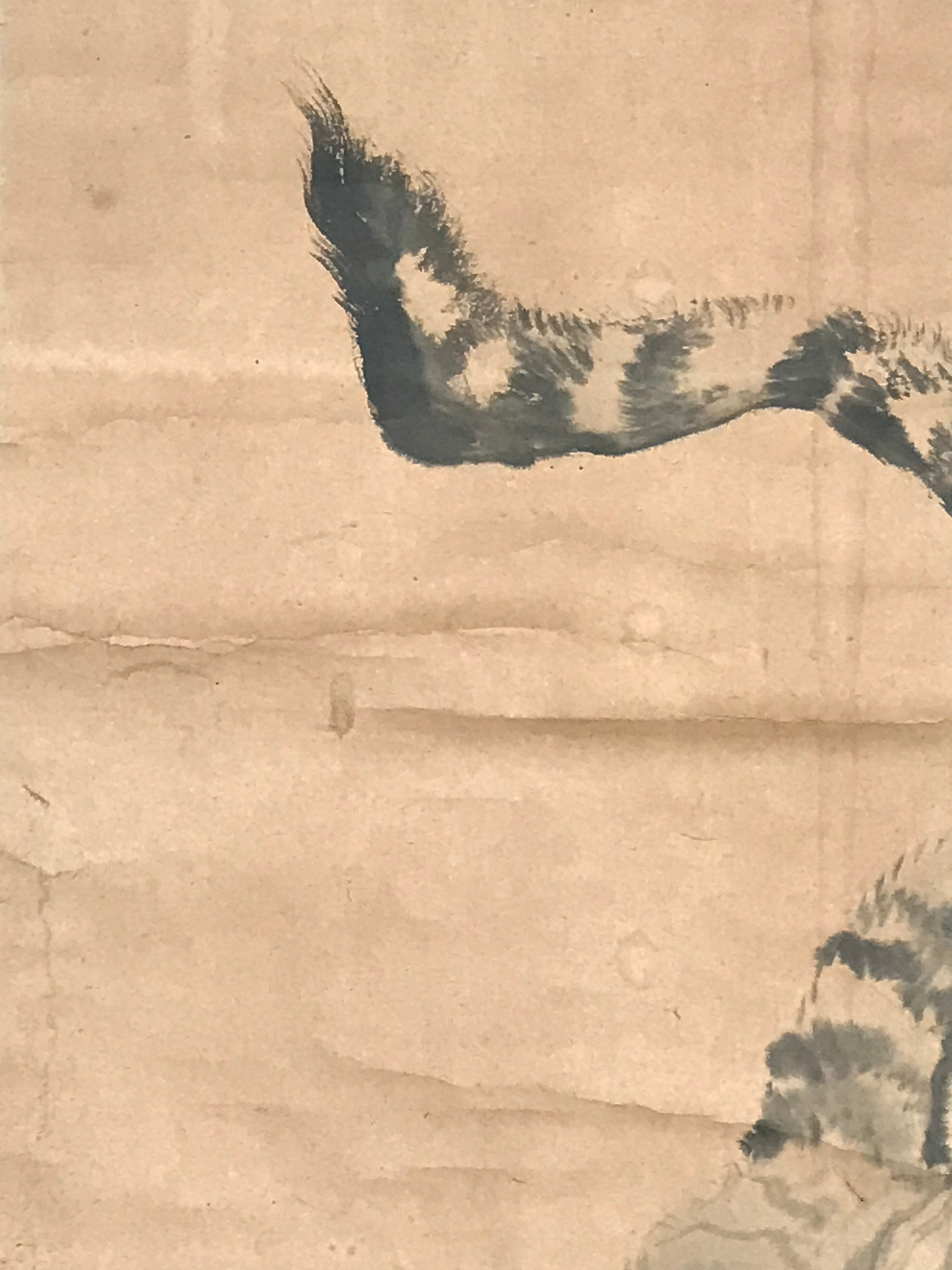 Japanese Hanging Scroll Tiger Baring Fangs Tora Black Kakejiku Kakemono SC792
