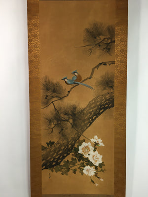 Japanese Hanging Scroll Vtg Kakejiku Kakemono Blue Birds Pine Tree Signed SC723