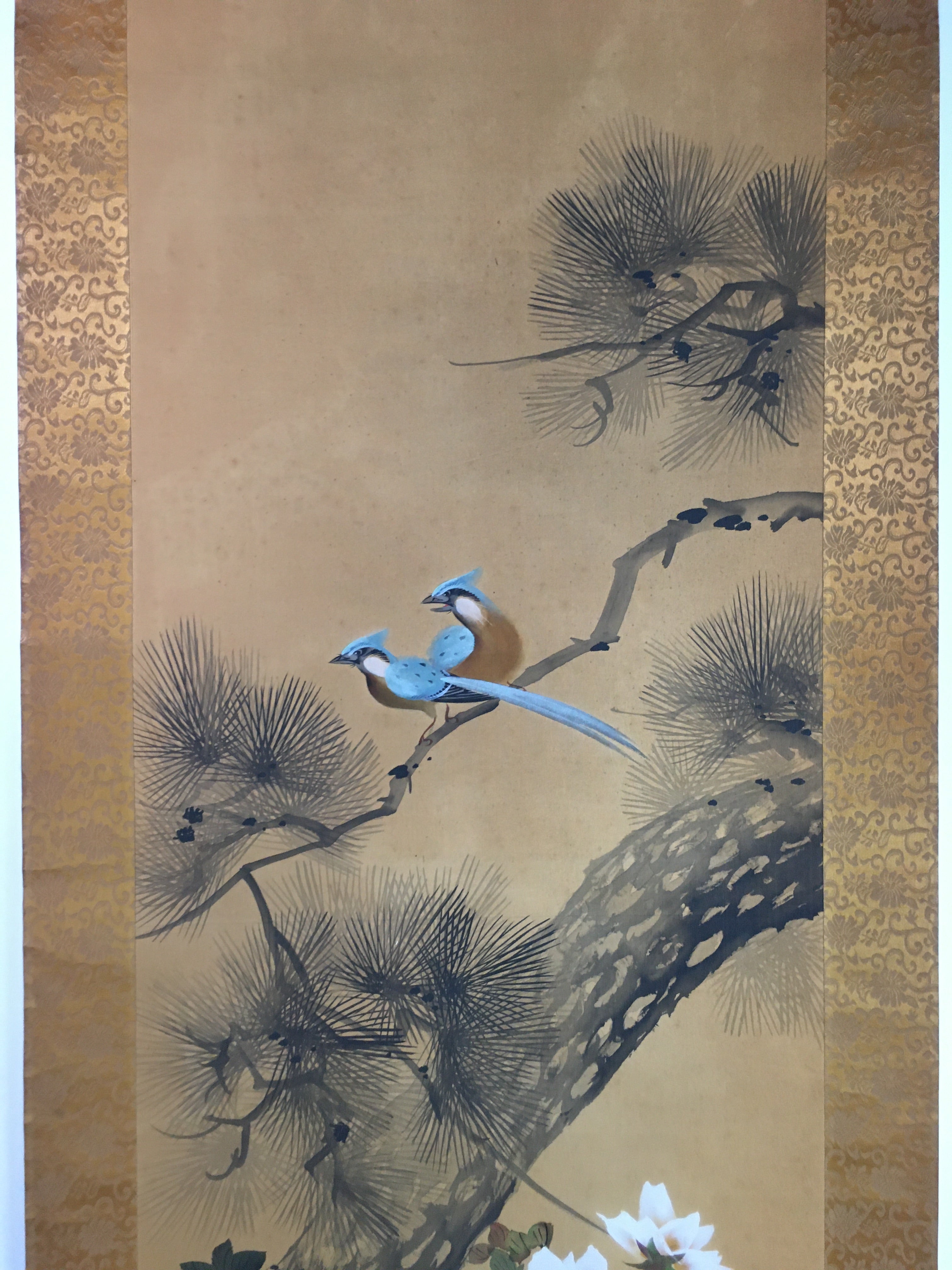Japanese Hanging Scroll Vtg Kakejiku Kakemono Blue Birds Pine Tree Signed SC723