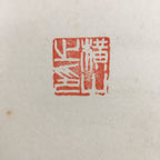 Japanese Hanging Scroll Vtg Kakejiku Kakemono Calligraphy Health Kanji SC658