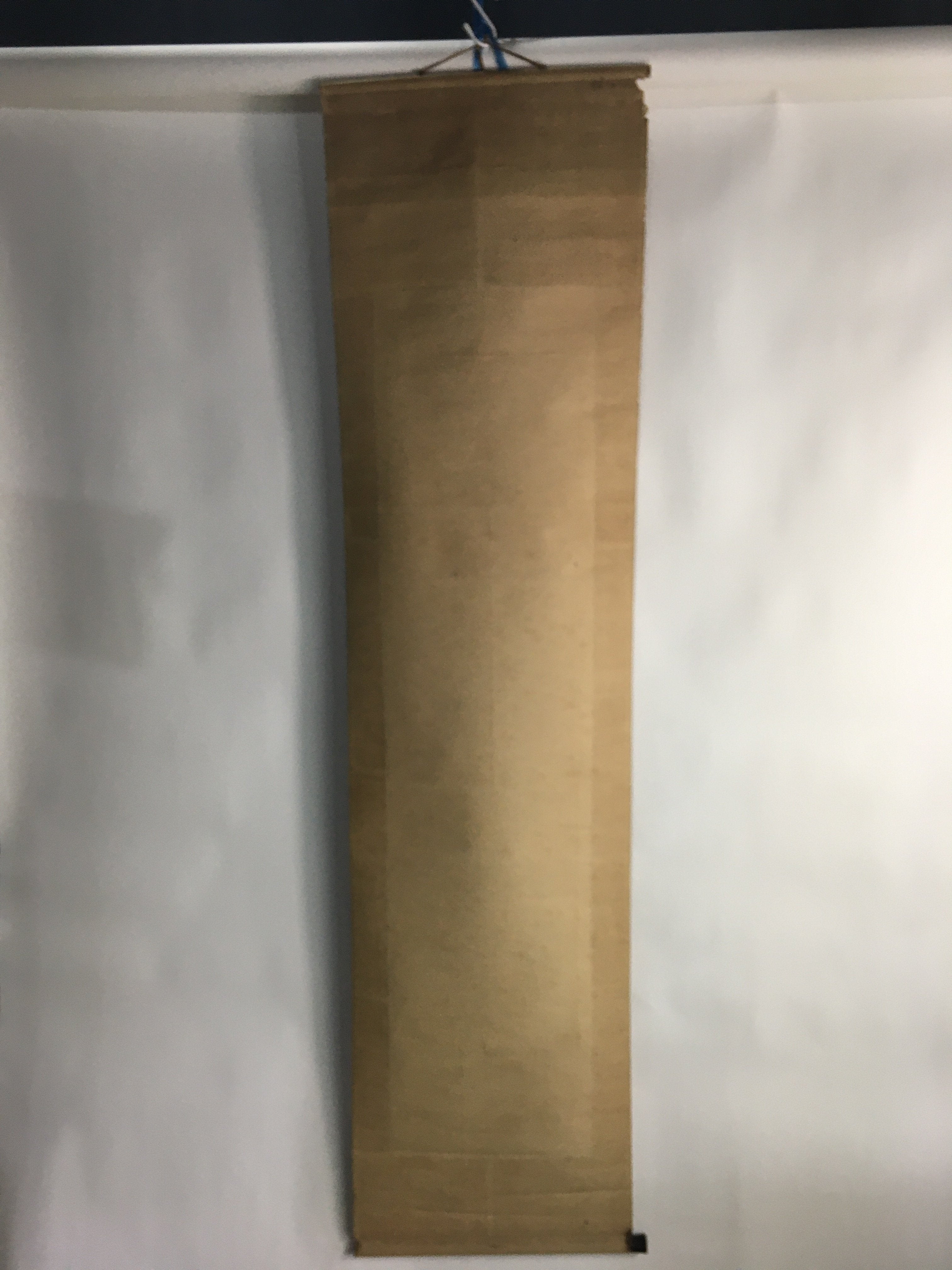 Japanese Hanging Scroll Vtg Kakejiku Kakemono Cluster Amaryllis Bamboo SC656