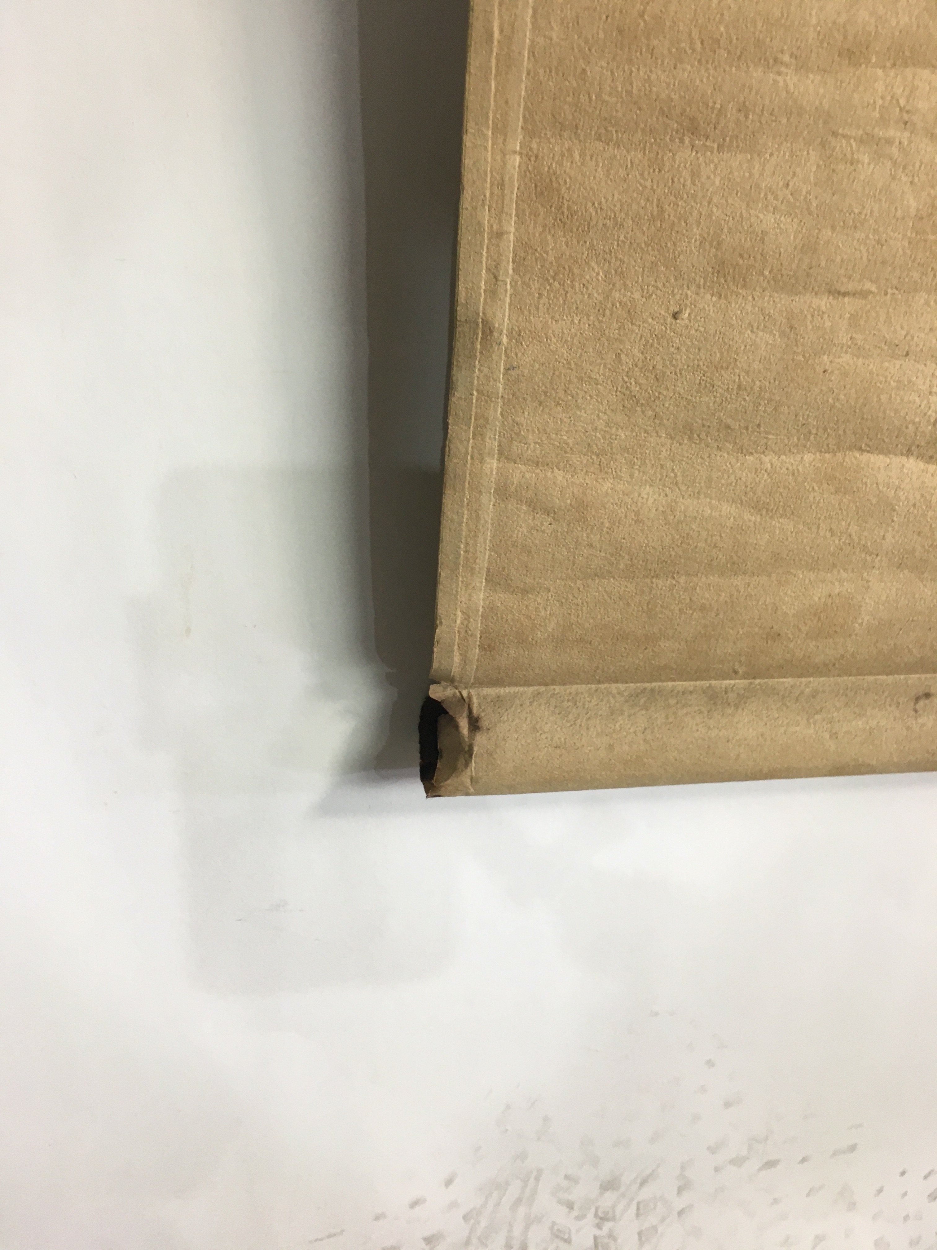 Japanese Hanging Scroll Vtg Kakejiku Kakemono Cluster Amaryllis Bamboo SC656