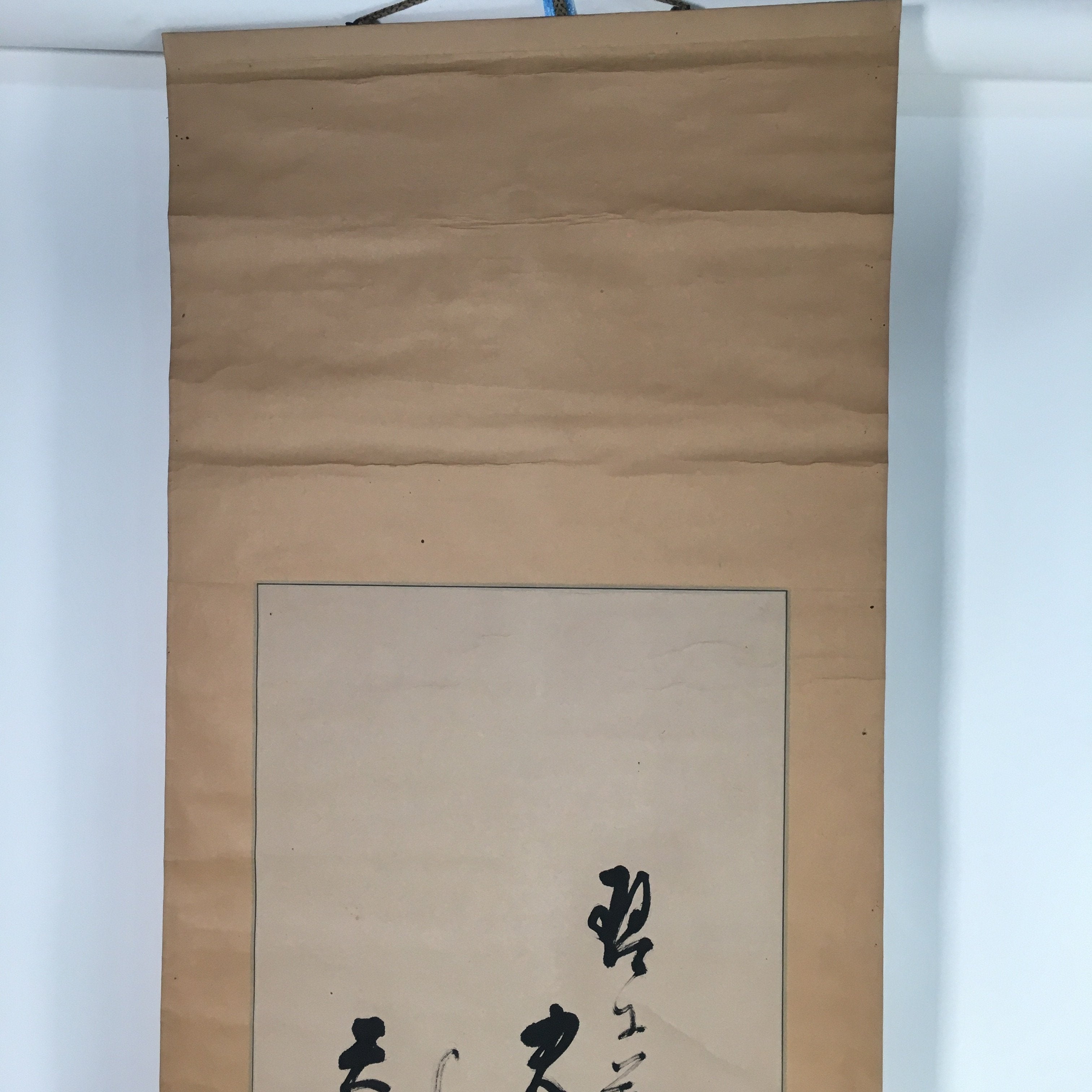 Japanese Hanging Scroll Vtg Kakejiku Kakemono Gourd Chrysanthemum SC659