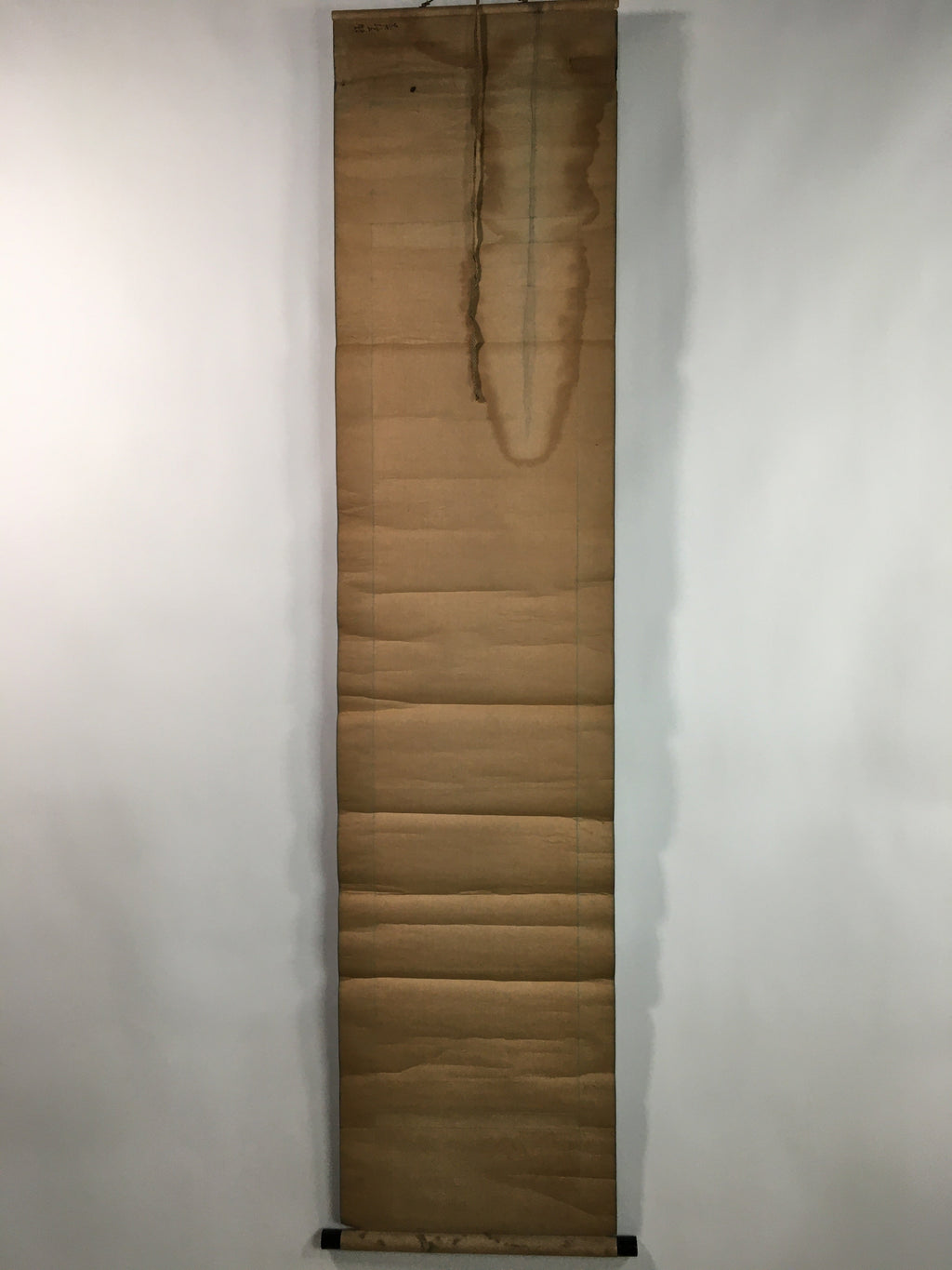 Japanese Hanging Scroll Vtg Kakejiku Kakemono Happiness Yellow Flower SC703