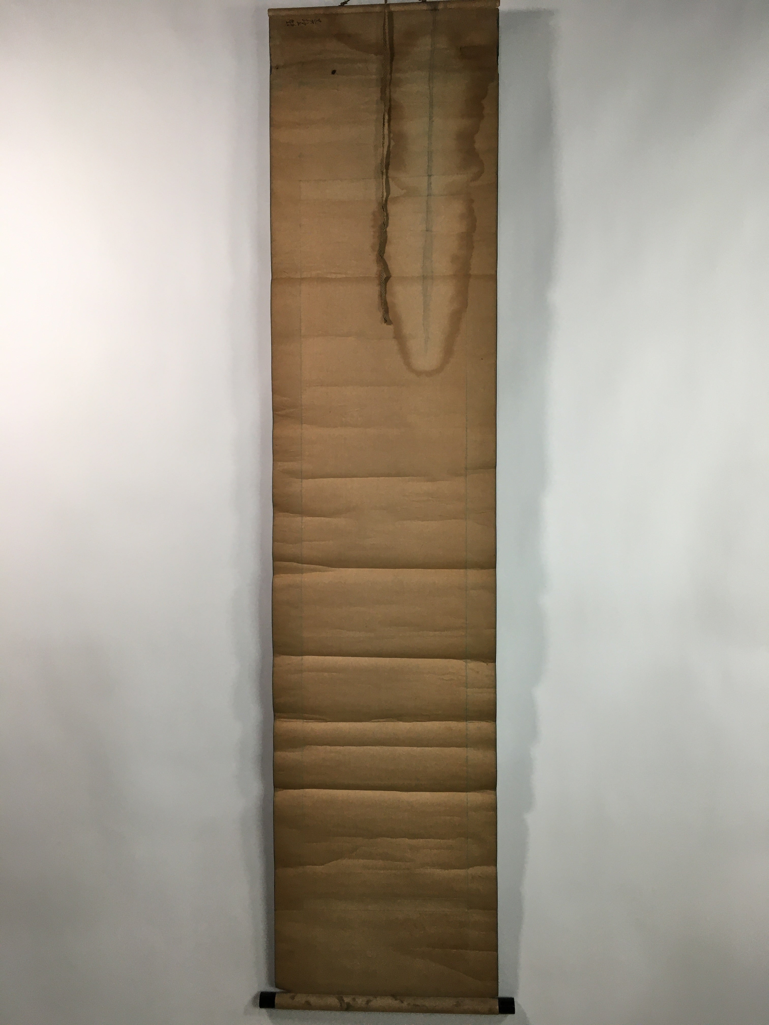 Japanese Hanging Scroll Vtg Kakejiku Kakemono Happiness Yellow Flower SC703