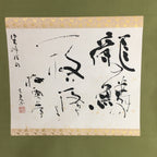 Japanese Hanging Scroll Vtg Kakejiku Kakemono Ink Painting Dragon Scale SC620