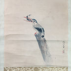 Japanese Hanging Scroll Vtg Kakejiku Kakemono Kingfisher Bird SC706