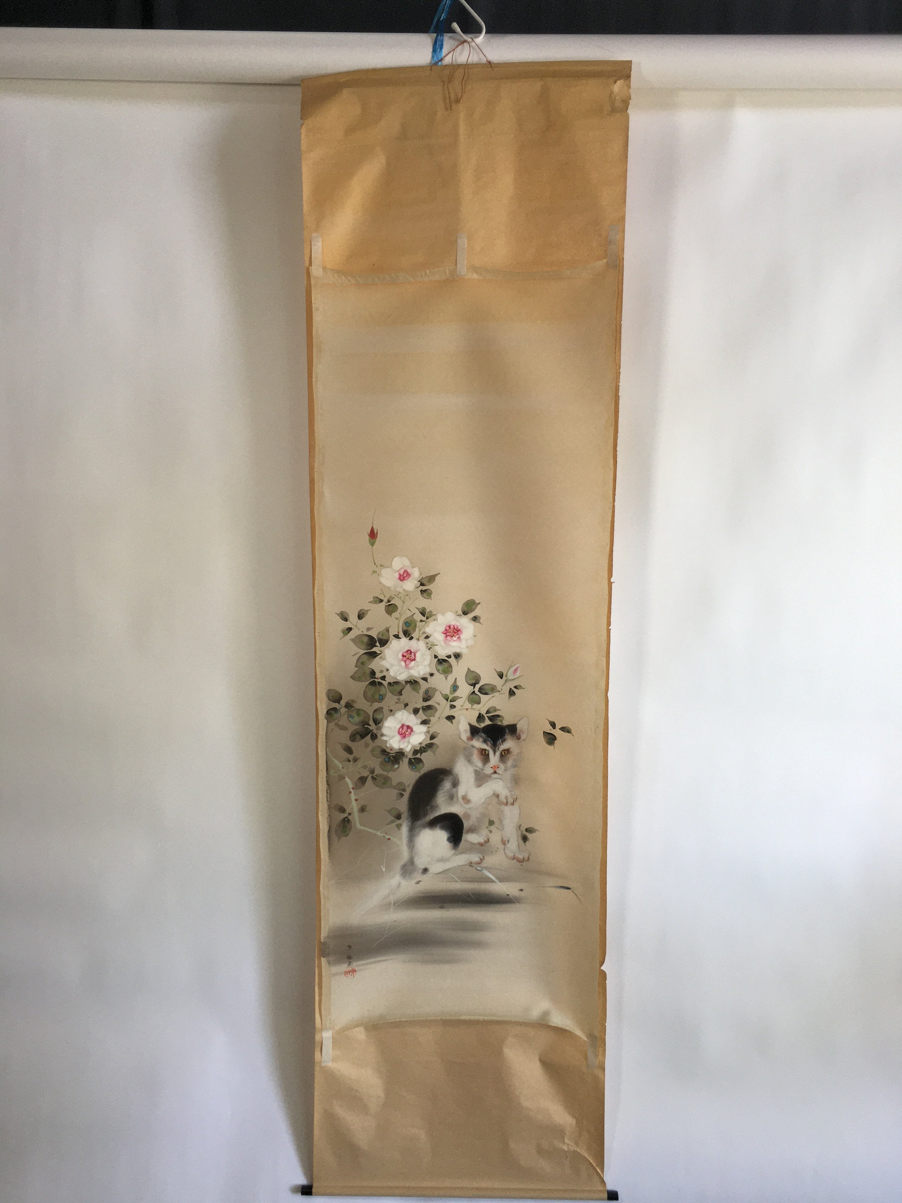 Japanese Hanging Scroll Vtg Kakejiku Kakemono Painting Cat Camellia SC639