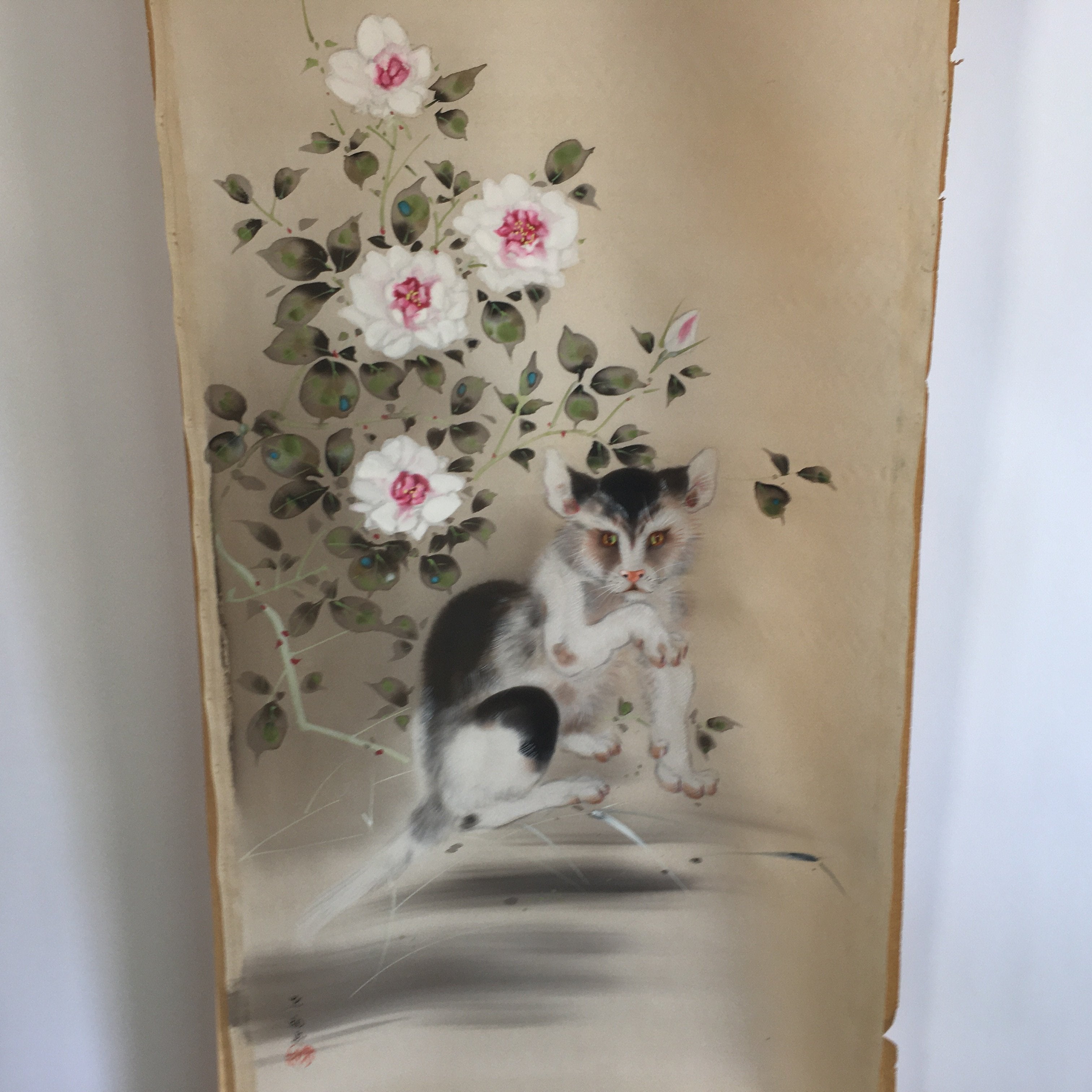 Japanese Hanging Scroll Vtg Kakejiku Kakemono Painting Cat Camellia SC639