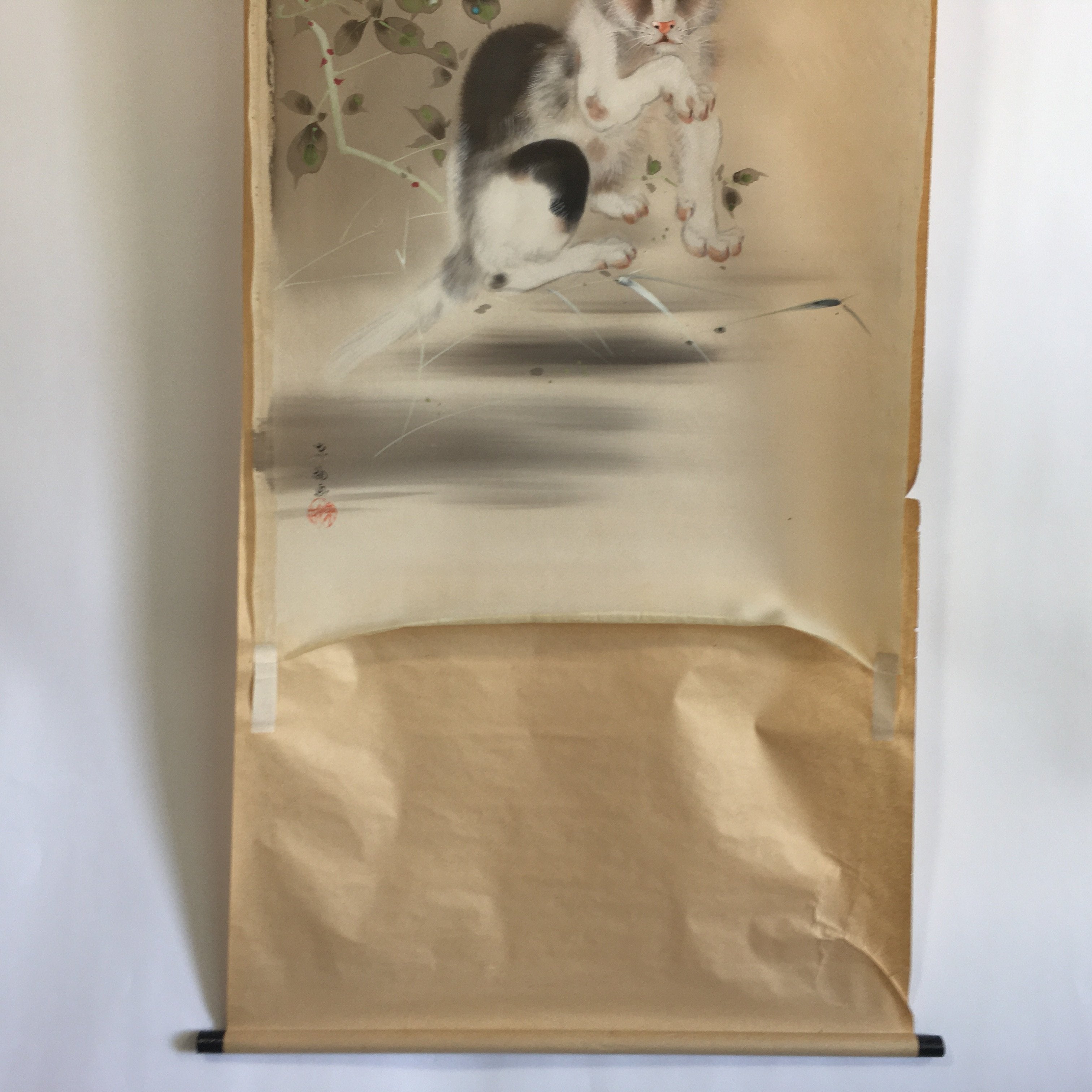 Japanese Hanging Scroll Vtg Kakejiku Kakemono Painting Cat Camellia SC639