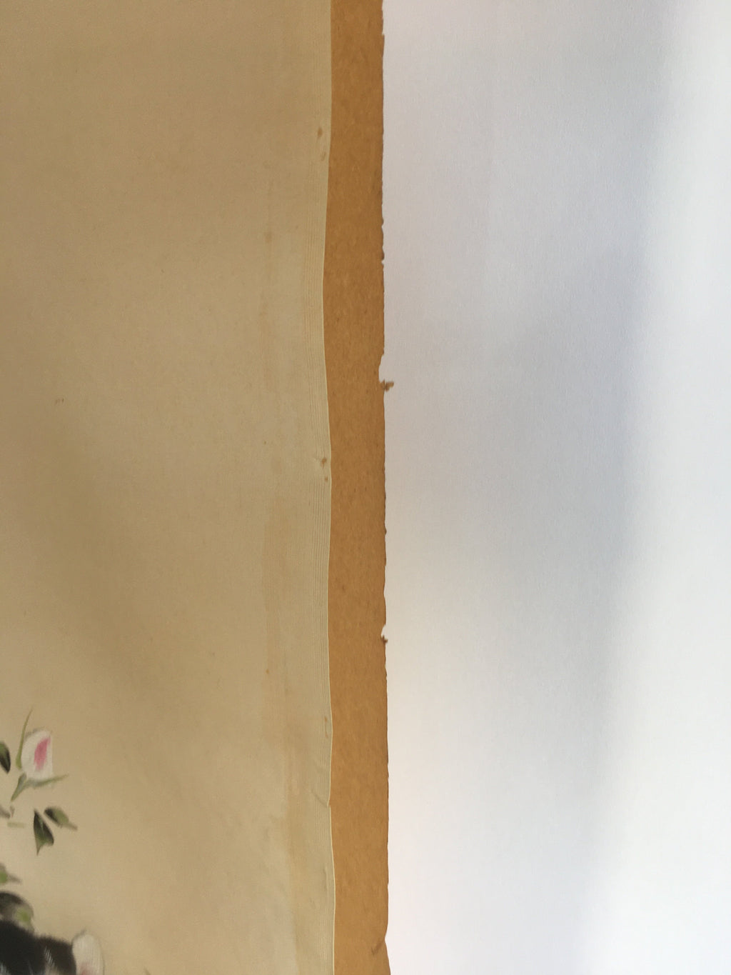 Japanese Hanging Scroll Vtg Kakejiku Kakemono Painting Cat Camellia SC639