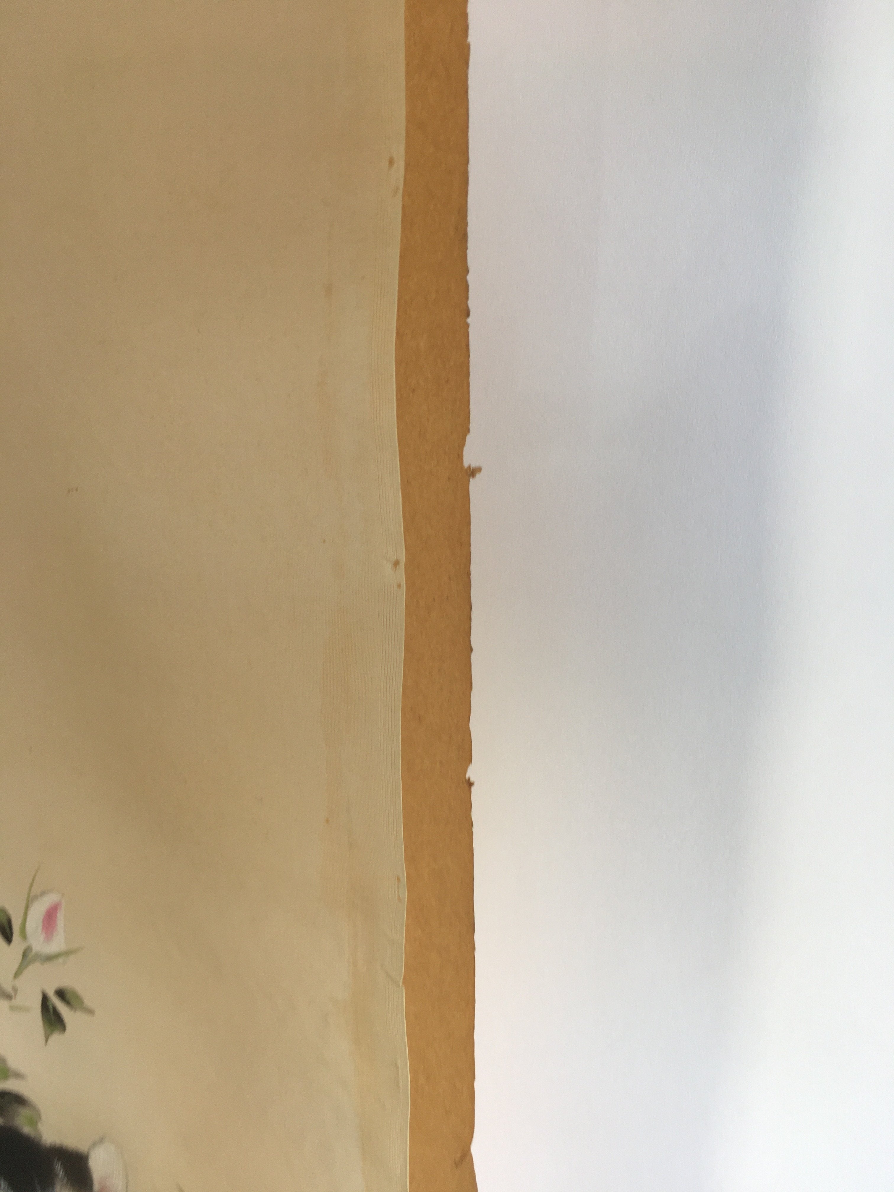 Japanese Hanging Scroll Vtg Kakejiku Kakemono Painting Cat Camellia SC639