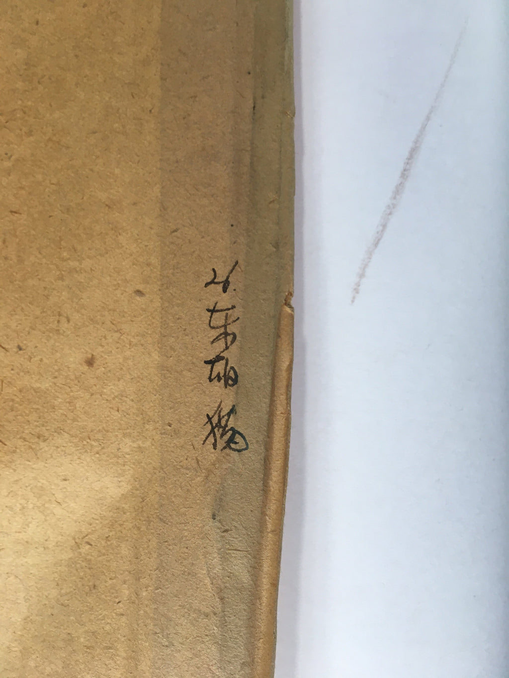 Japanese Hanging Scroll Vtg Kakejiku Kakemono Painting Cat Camellia SC639