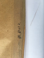 Japanese Hanging Scroll Vtg Kakejiku Kakemono Painting Cat Camellia SC639