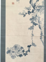 Japanese Hanging Scroll Vtg Kakejiku Kakemono Painting Chrysanthemum SC677