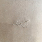 Japanese Hanging Scroll Vtg Kakejiku Kakemono Painting Chrysanthemum SC677