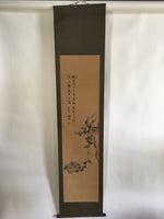 Japanese Hanging Scroll Vtg Kakejiku Kakemono Painting Chrysanthemum SC677