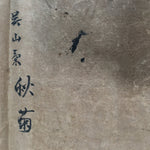 Japanese Hanging Scroll Vtg Kakejiku Kakemono Painting Chrysanthemum SC677