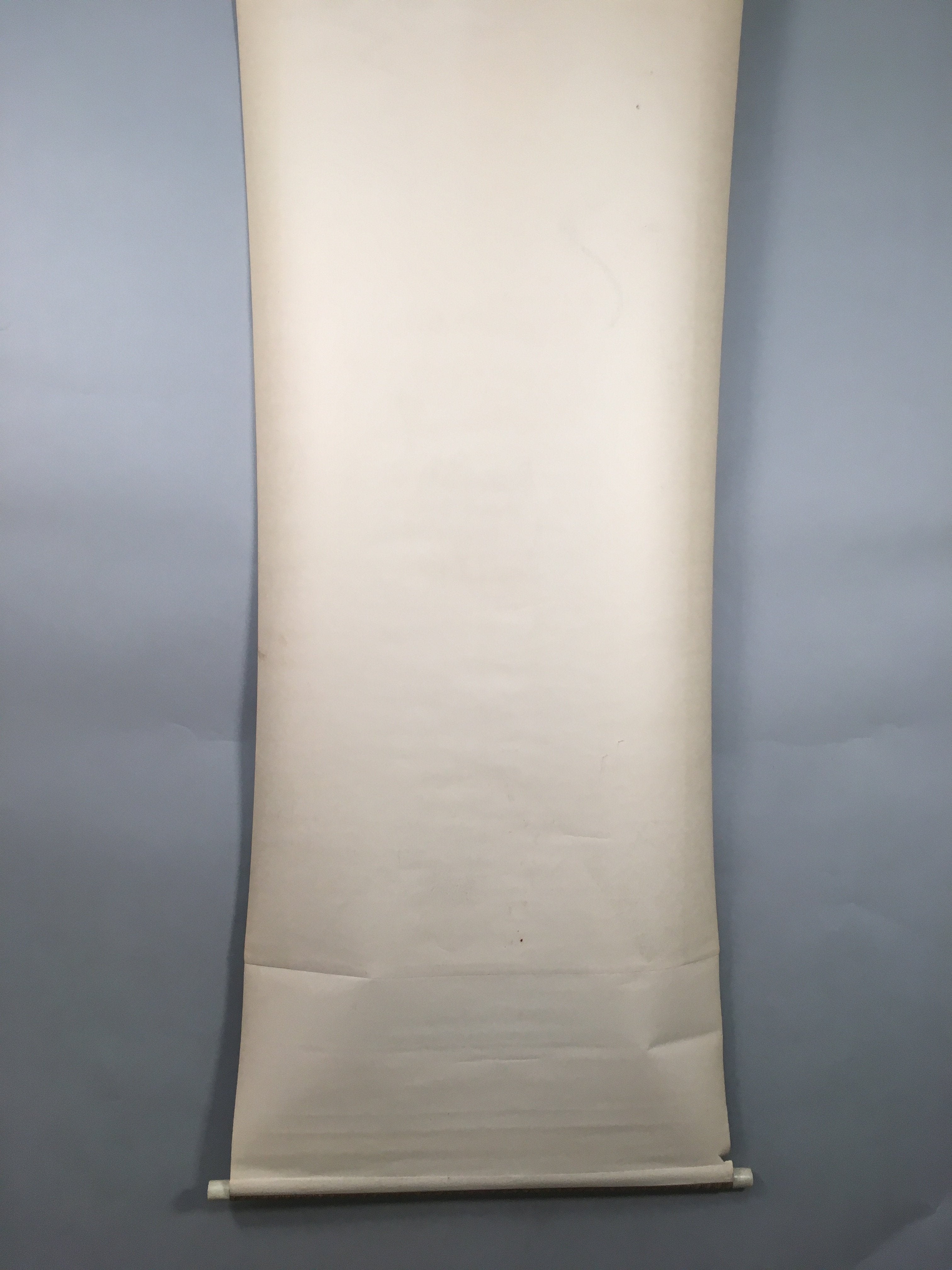 Japanese Hanging Scroll Vtg Kakejiku Kakemono Painting Crane Rising Sun SC569
