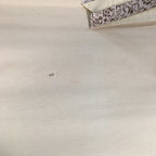 Japanese Hanging Scroll Vtg Kakejiku Kakemono Painting Dragon Kanji SC576