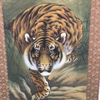 Japanese Hanging Scroll Vtg Kakejiku Kakemono Painting Dynamic Tiger SC651