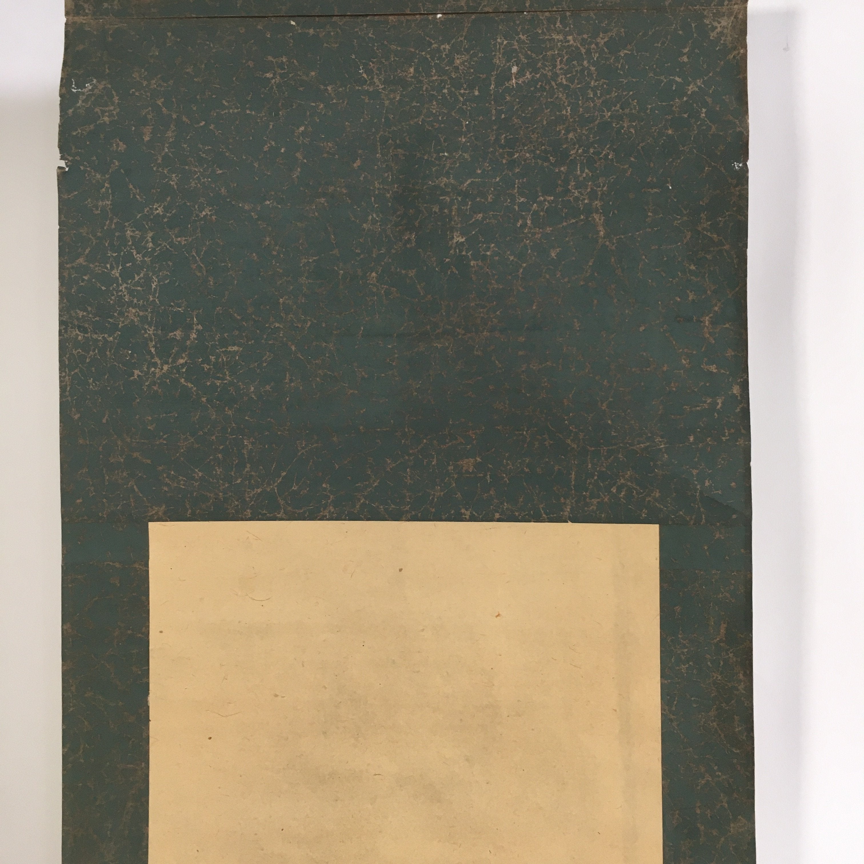 Japanese Hanging Scroll Vtg Kakejiku Kakemono Painting Flowering Plant SC691
