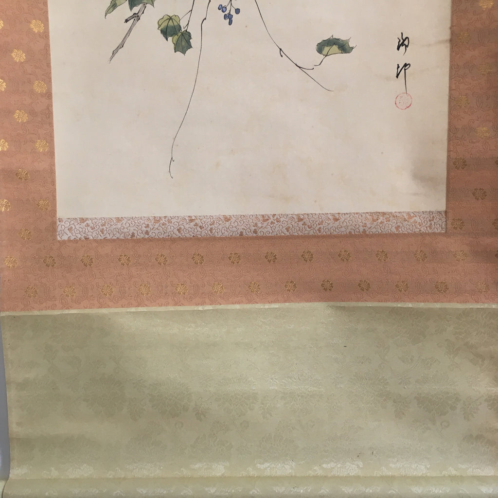 Japanese Hanging Scroll Vtg Kakejiku Kakemono Painting Grapes Birds SC676