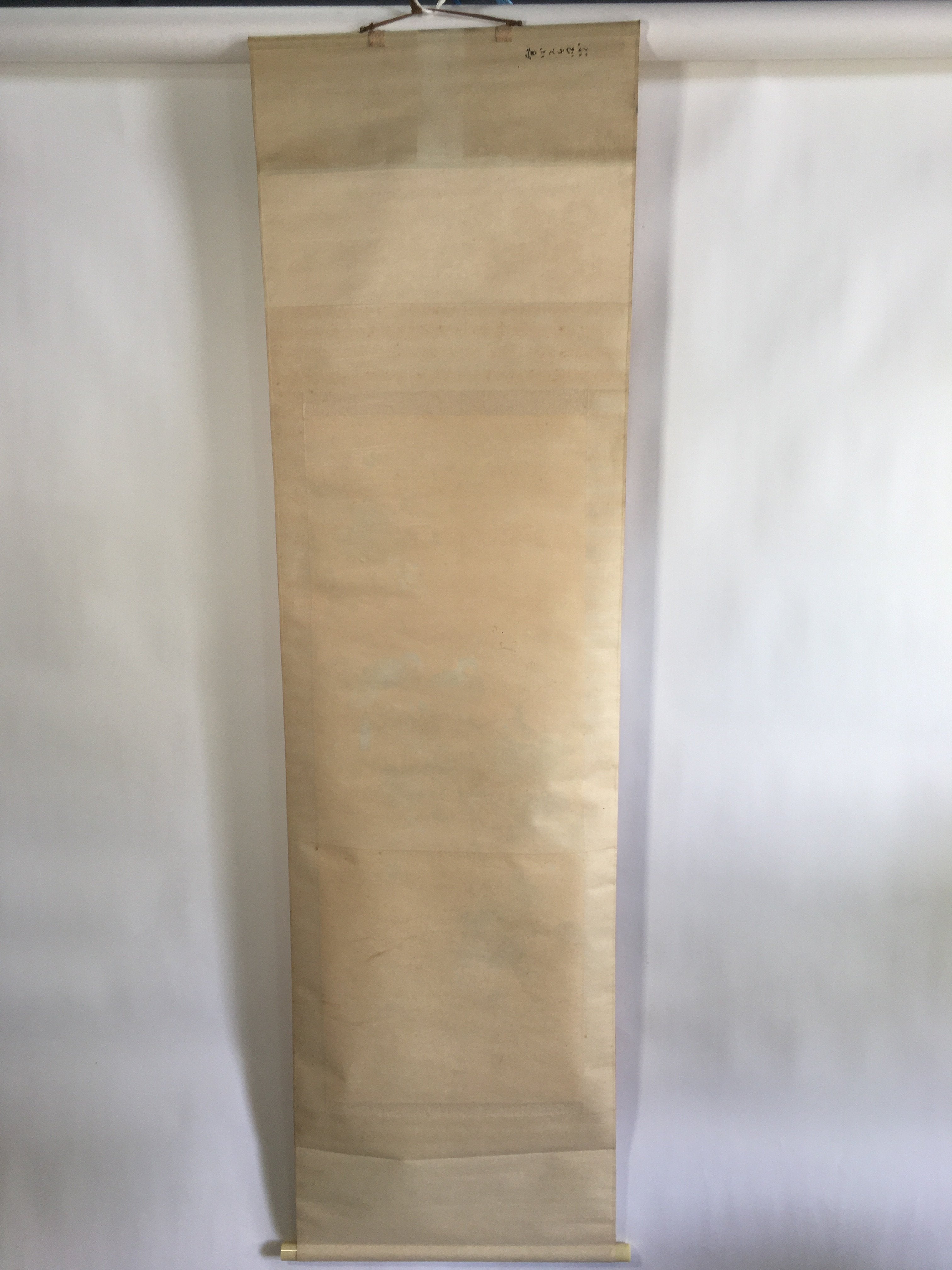 Japanese Hanging Scroll Vtg Kakejiku Kakemono Painting Grapes Birds SC676