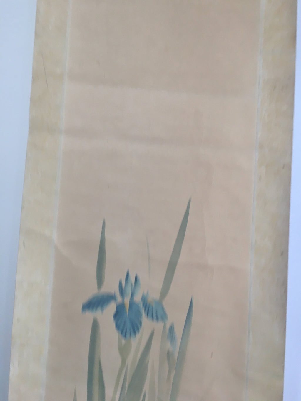 Japanese Hanging Scroll Vtg Kakejiku Kakemono Painting Japanese Iris SC672