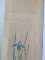 Japanese Hanging Scroll Vtg Kakejiku Kakemono Painting Japanese Iris SC672
