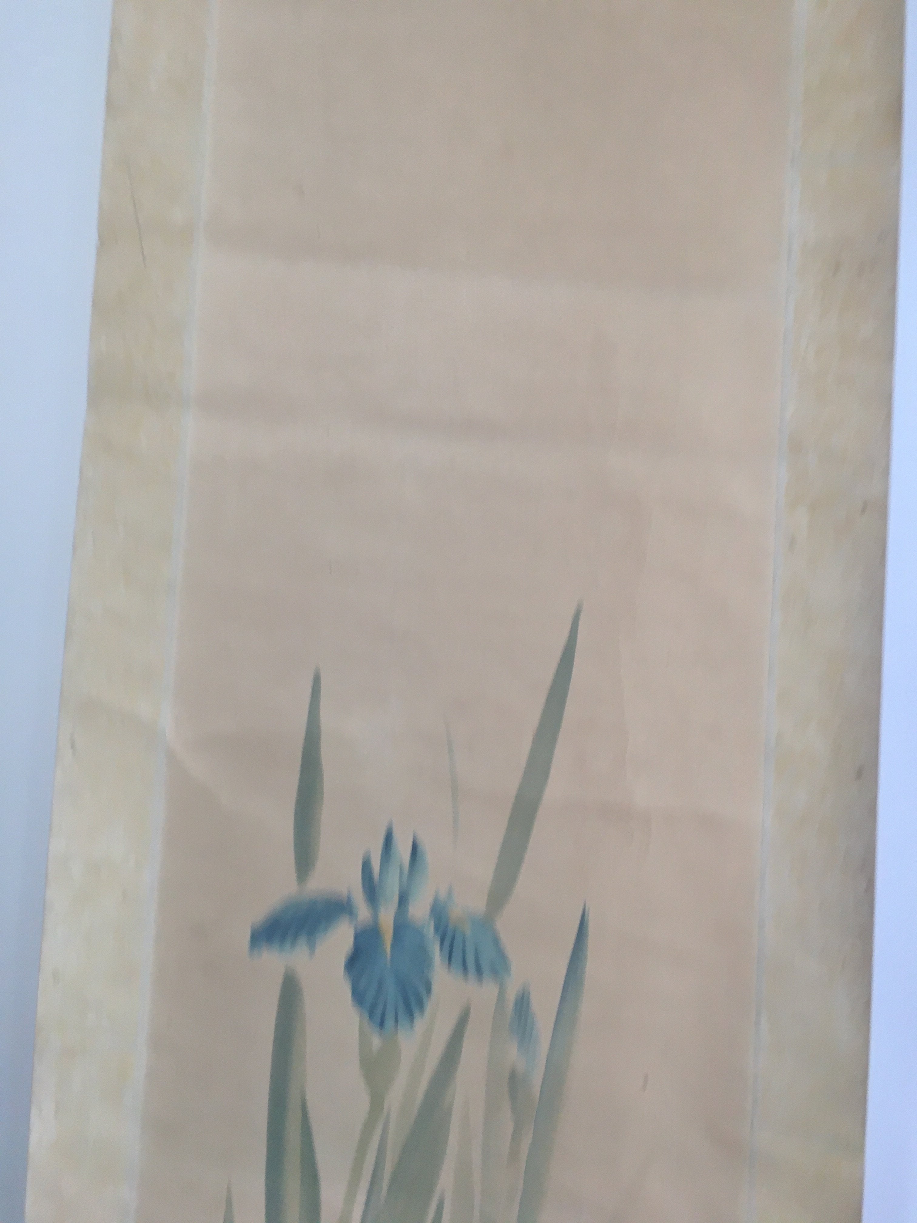 Japanese Hanging Scroll Vtg Kakejiku Kakemono Painting Japanese Iris SC672
