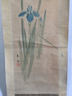 Japanese Hanging Scroll Vtg Kakejiku Kakemono Painting Japanese Iris SC672