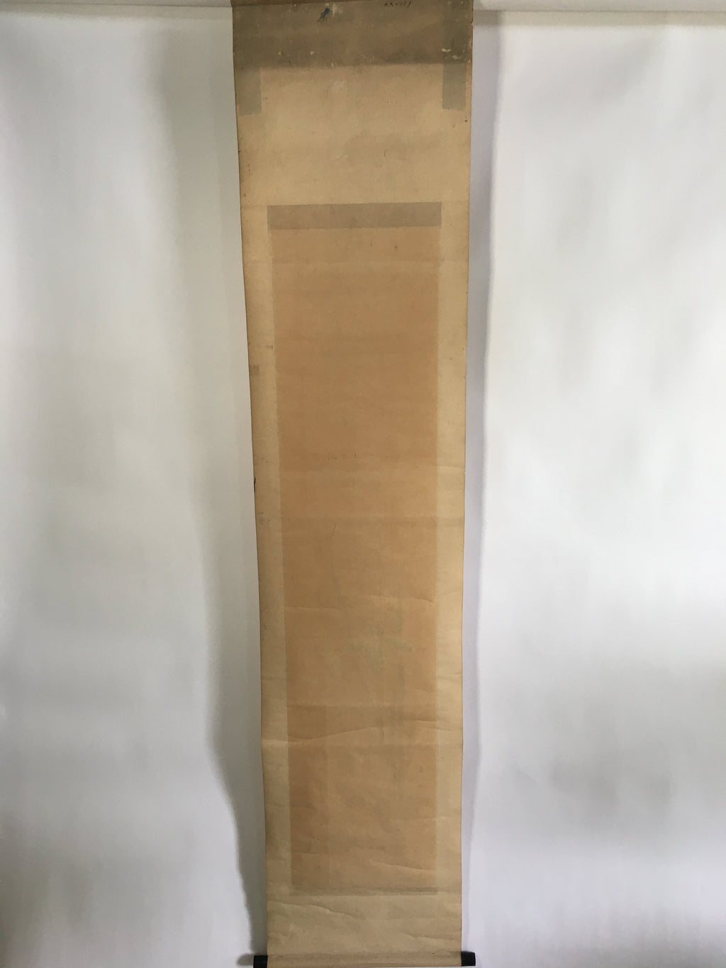 Japanese Hanging Scroll Vtg Kakejiku Kakemono Painting Japanese Iris SC672
