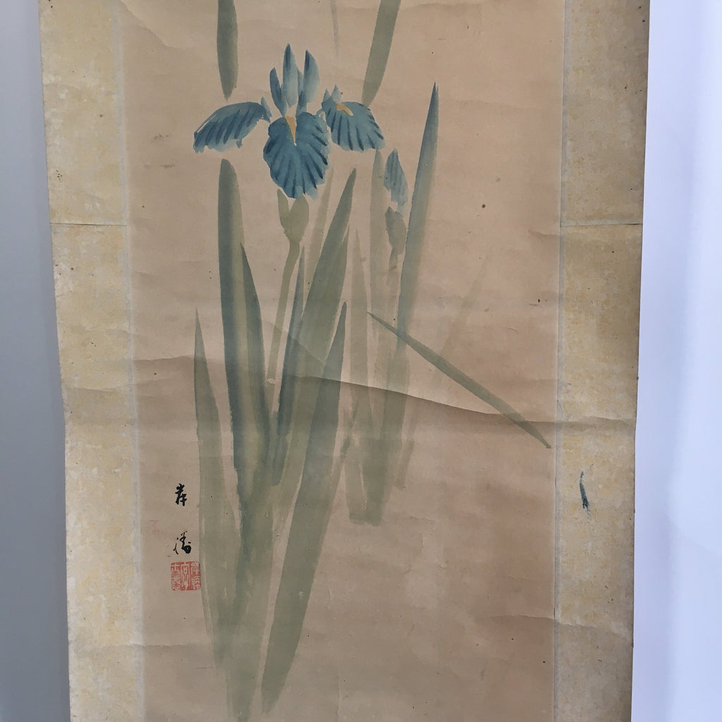 Japanese Hanging Scroll Vtg Kakejiku Kakemono Painting Japanese Iris SC672