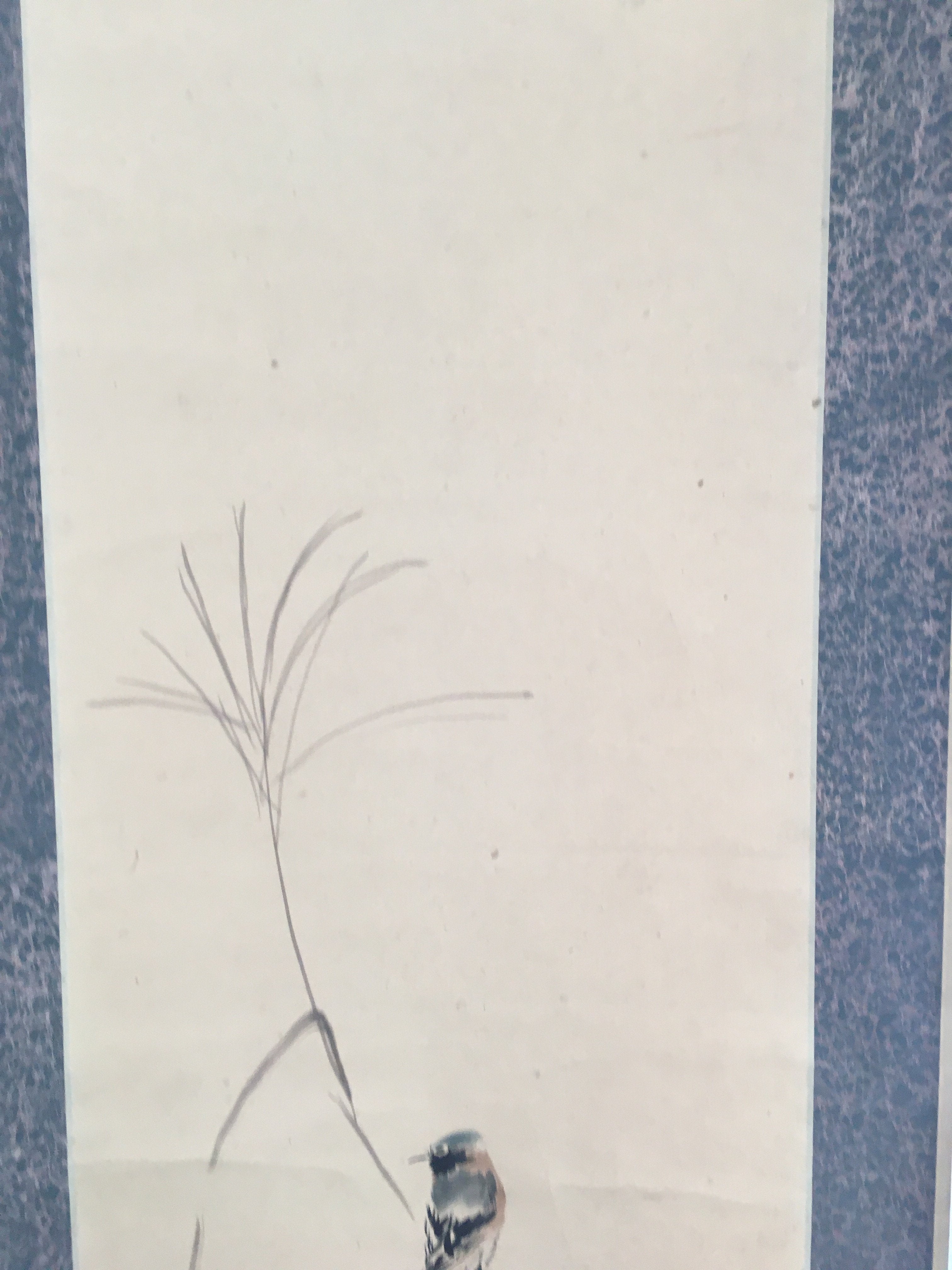 Japanese Hanging Scroll Vtg Kakejiku Kakemono Painting Miscanthus Bird SC680