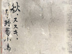 Japanese Hanging Scroll Vtg Kakejiku Kakemono Painting Miscanthus Bird SC680