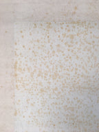Japanese Hanging Scroll Vtg Kakejiku Kakemono Painting Mountain River SC571