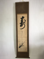 Japanese Hanging Scroll Vtg Kakejiku Kakemono Painting Plum Blossom SC590