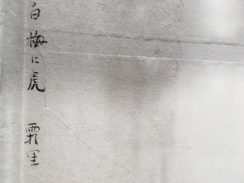 Japanese Hanging Scroll Vtg Kakejiku Kakemono Painting Plum Blossom Tiger SC694