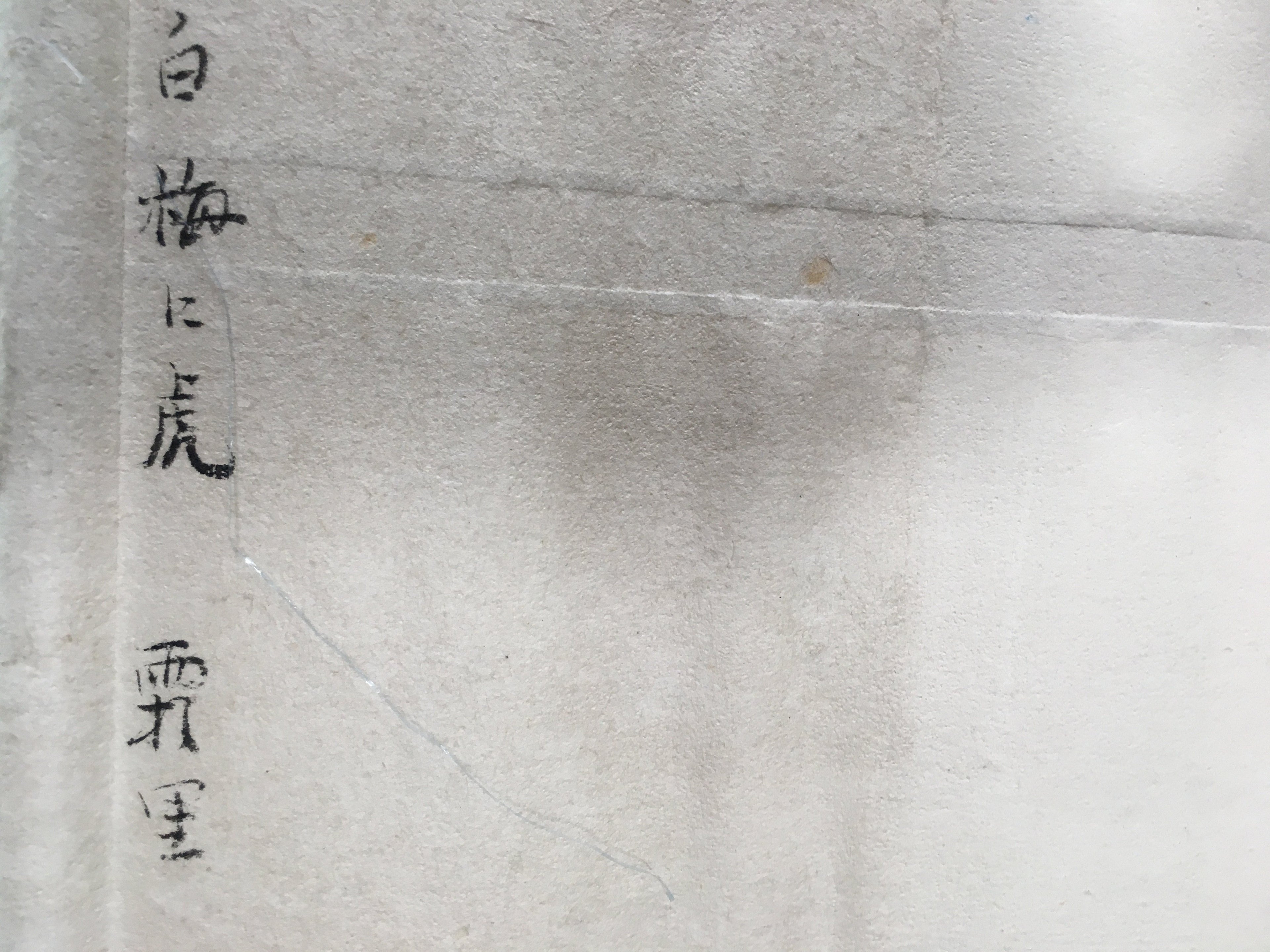 Japanese Hanging Scroll Vtg Kakejiku Kakemono Painting Plum Blossom Tiger SC694