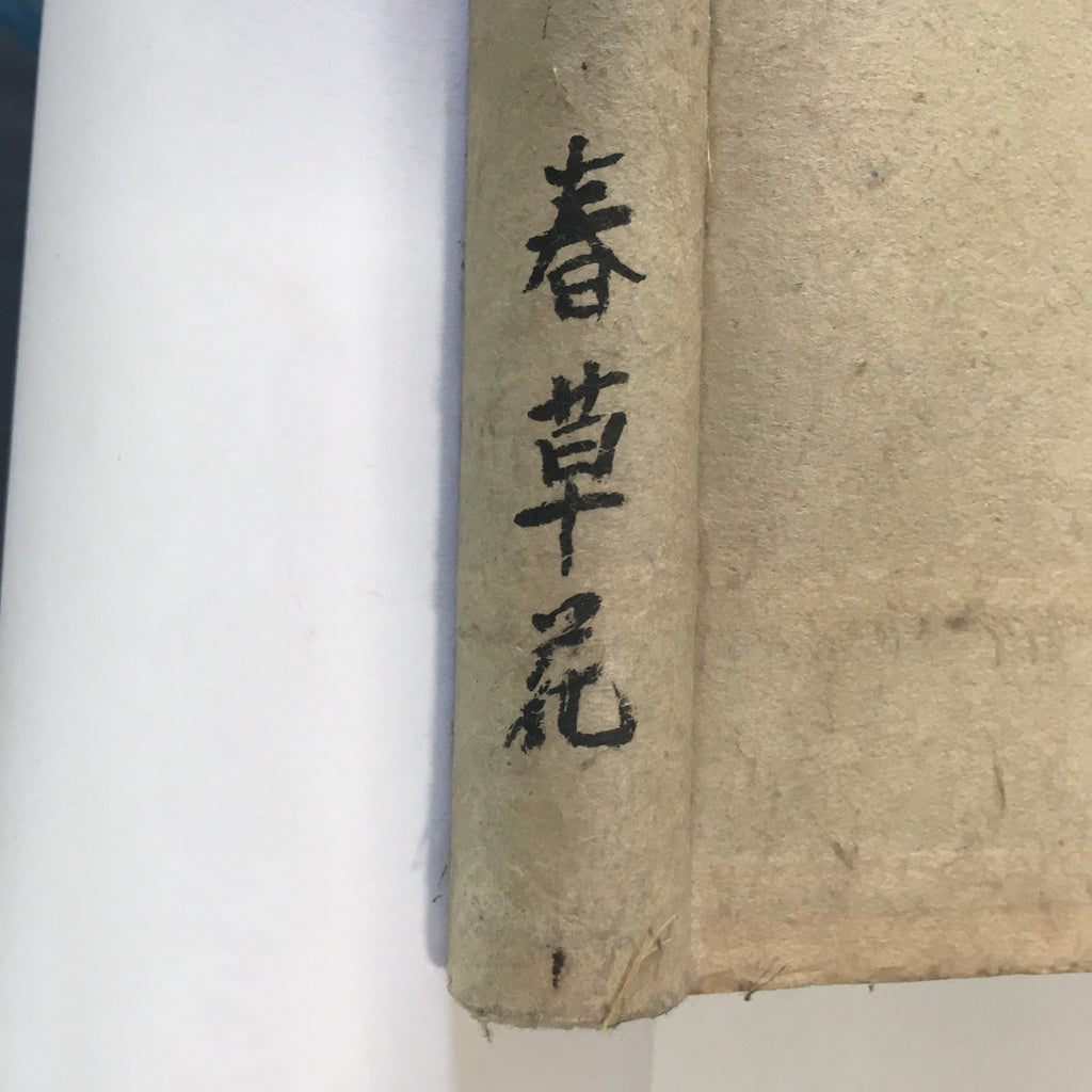 Japanese Hanging Scroll Vtg Kakejiku Kakemono Painting Spring Flowers SC640