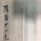 Japanese Hanging Scroll Vtg Kakejiku Kakemono Painting Swallows Fly SC663
